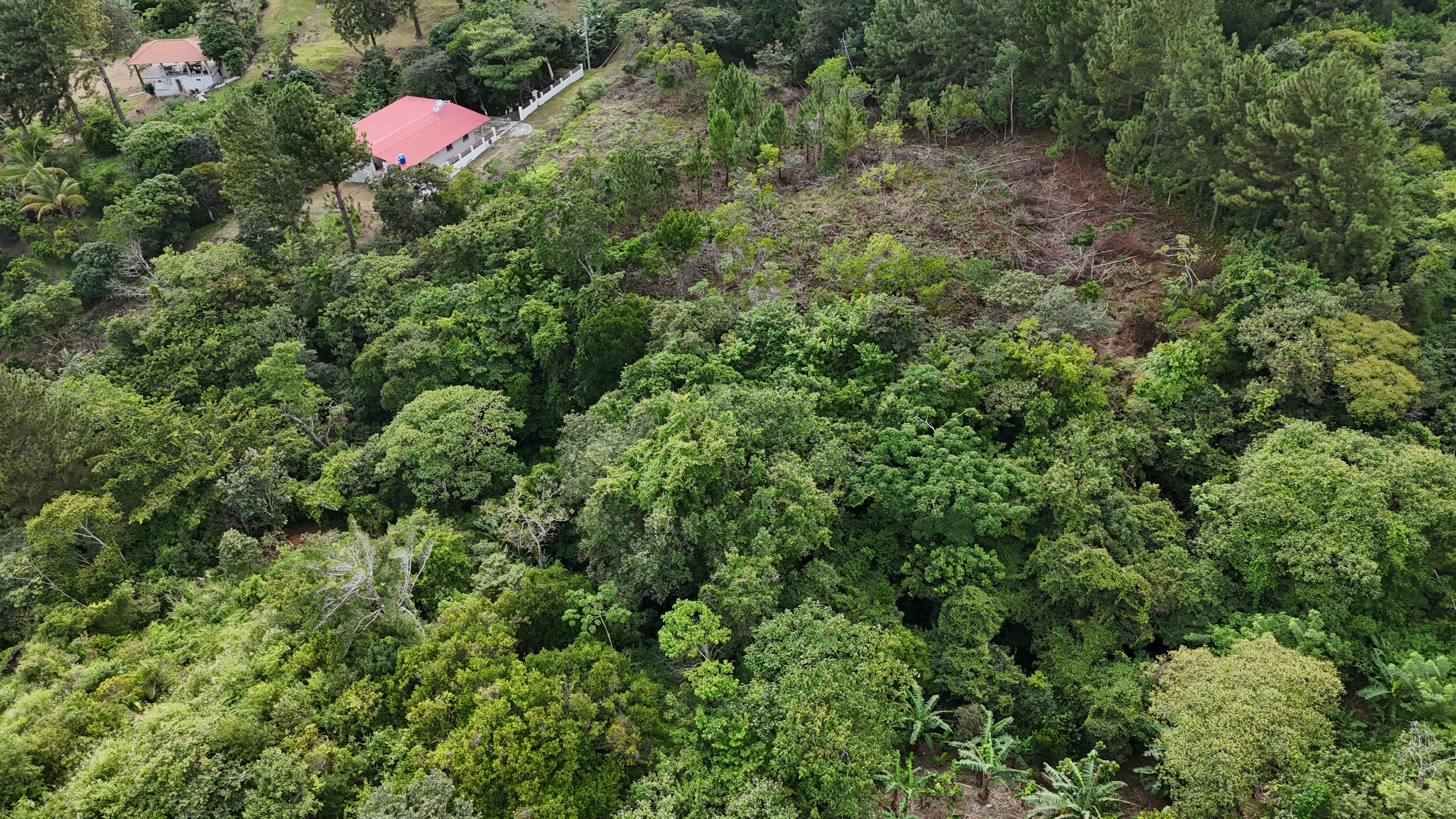 Finca Las Nubes